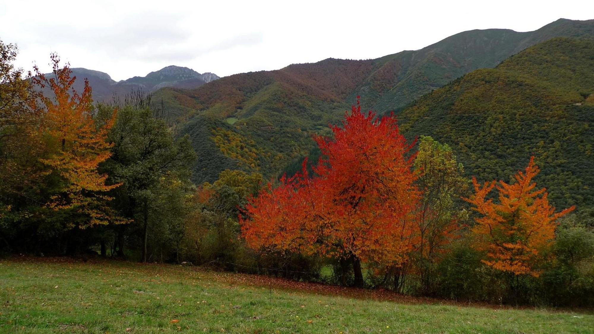 Casa Rural Los Llares Lerones Dış mekan fotoğraf